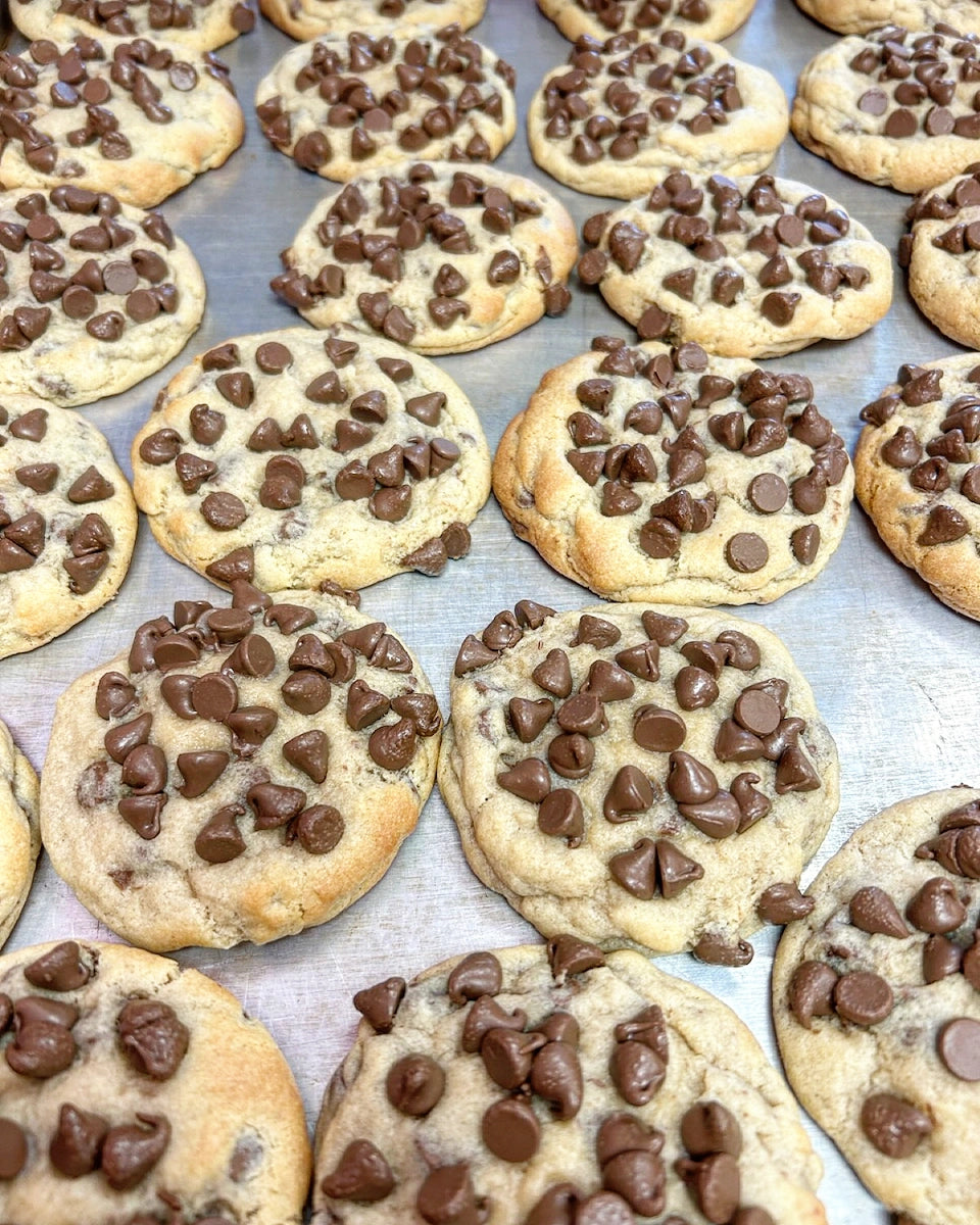 SGC Chocolate Chip Box