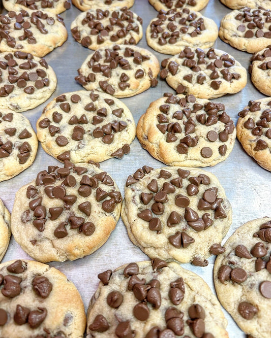 SGC Chocolate Chip Box