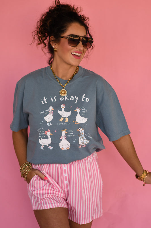 It Is Okay To Geese Tee