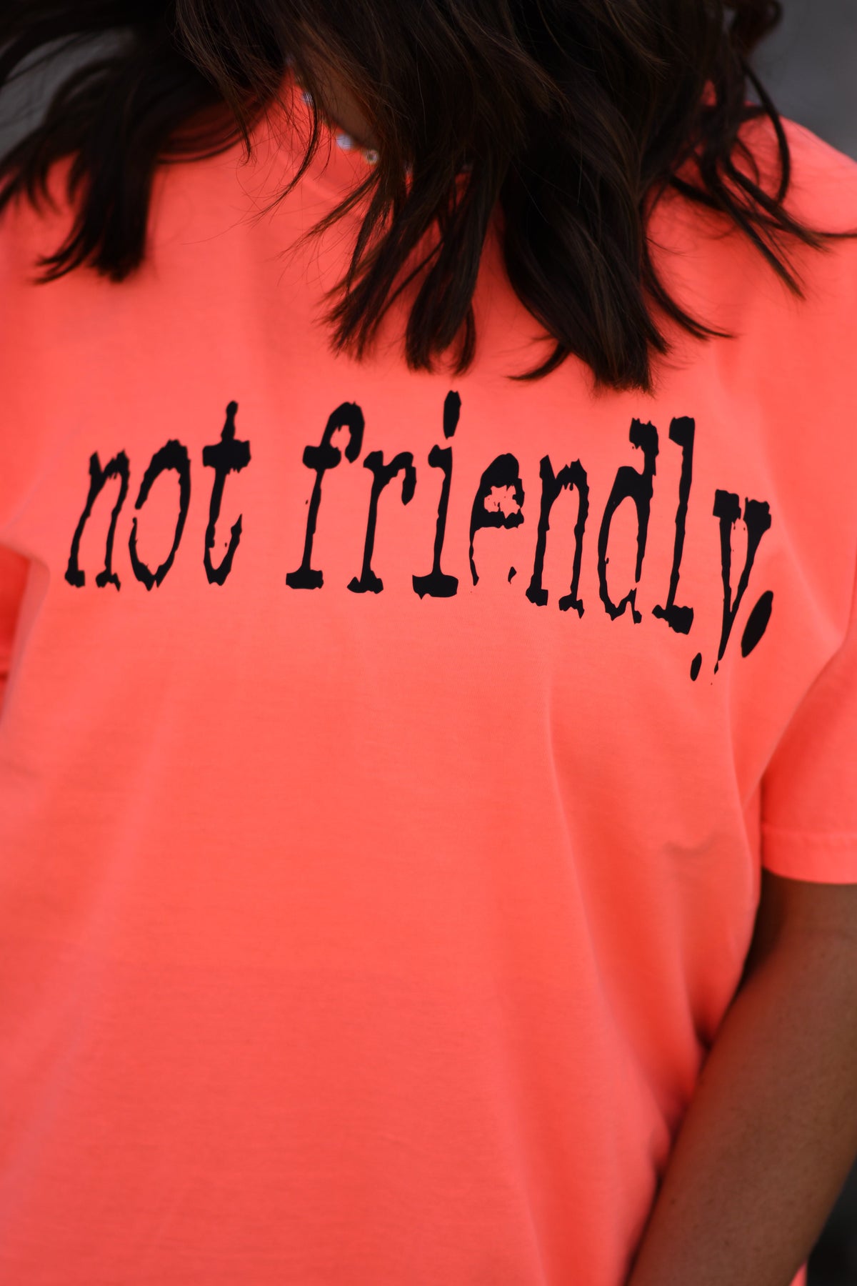 Not Friendly Tee